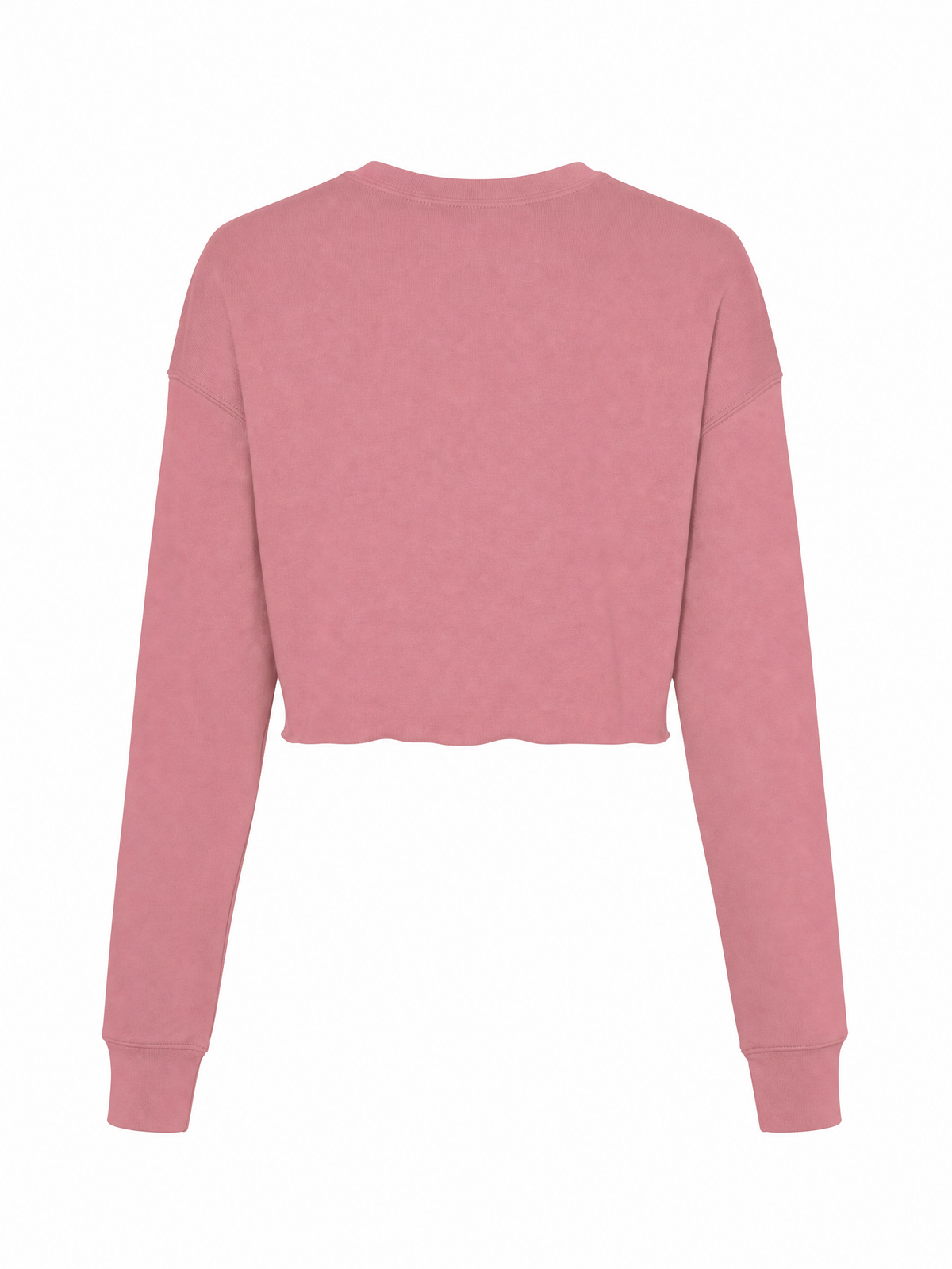 A dusty pink cropped long-sleeve sweatshirt shown from the back, displayed on a clean white background.