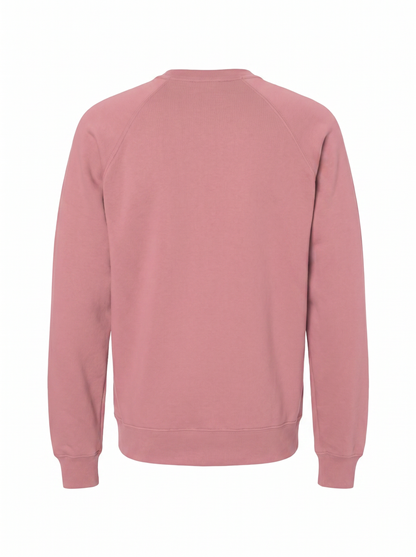 A dusty rose pink crewneck sweatshirt shown from the back, featuring raglan sleeves and ribbed cuffs and hem, displayed on a clean white background.